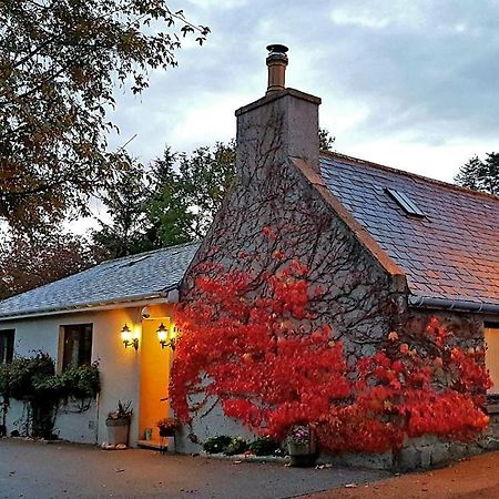 Lilyoak B&B & Self Catering Apartment Insch Eksteriør billede