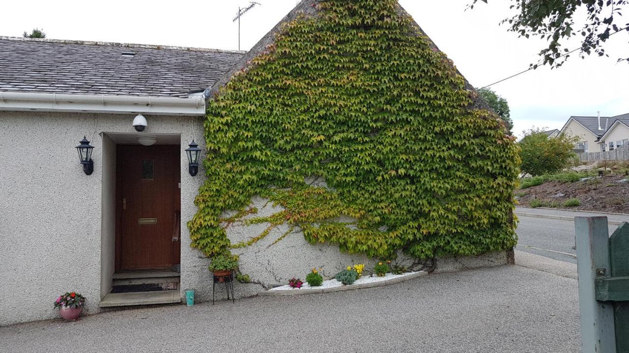 Lilyoak B&B & Self Catering Apartment Insch Eksteriør billede