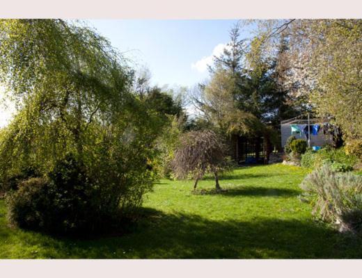 Lilyoak B&B & Self Catering Apartment Insch Eksteriør billede